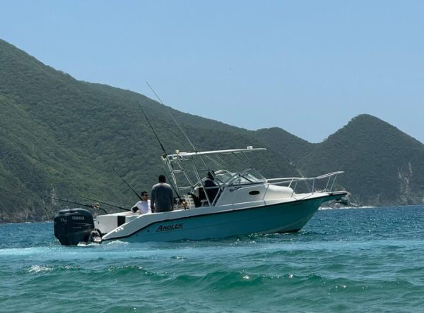 Mini Yate Angler - Imagen 2