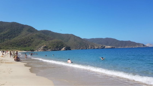 Bahia Concha 3