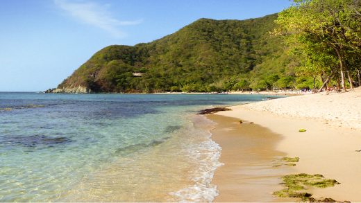 Bahia Concha 4