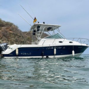 Yate Estrella